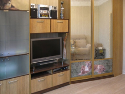 Мебель для гостиной по индивидуальным заказам